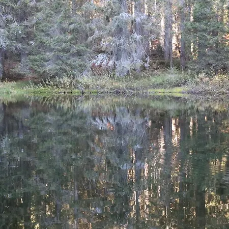 Ferienwohnungen Ludwigsthal Esterno foto