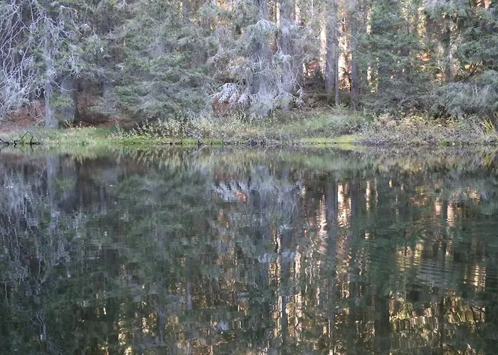 Ferienwohnungen Ludwigsthal