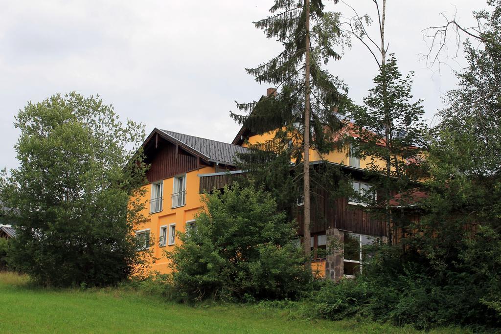 Apartment Ferienwohnungen Ludwigsthal