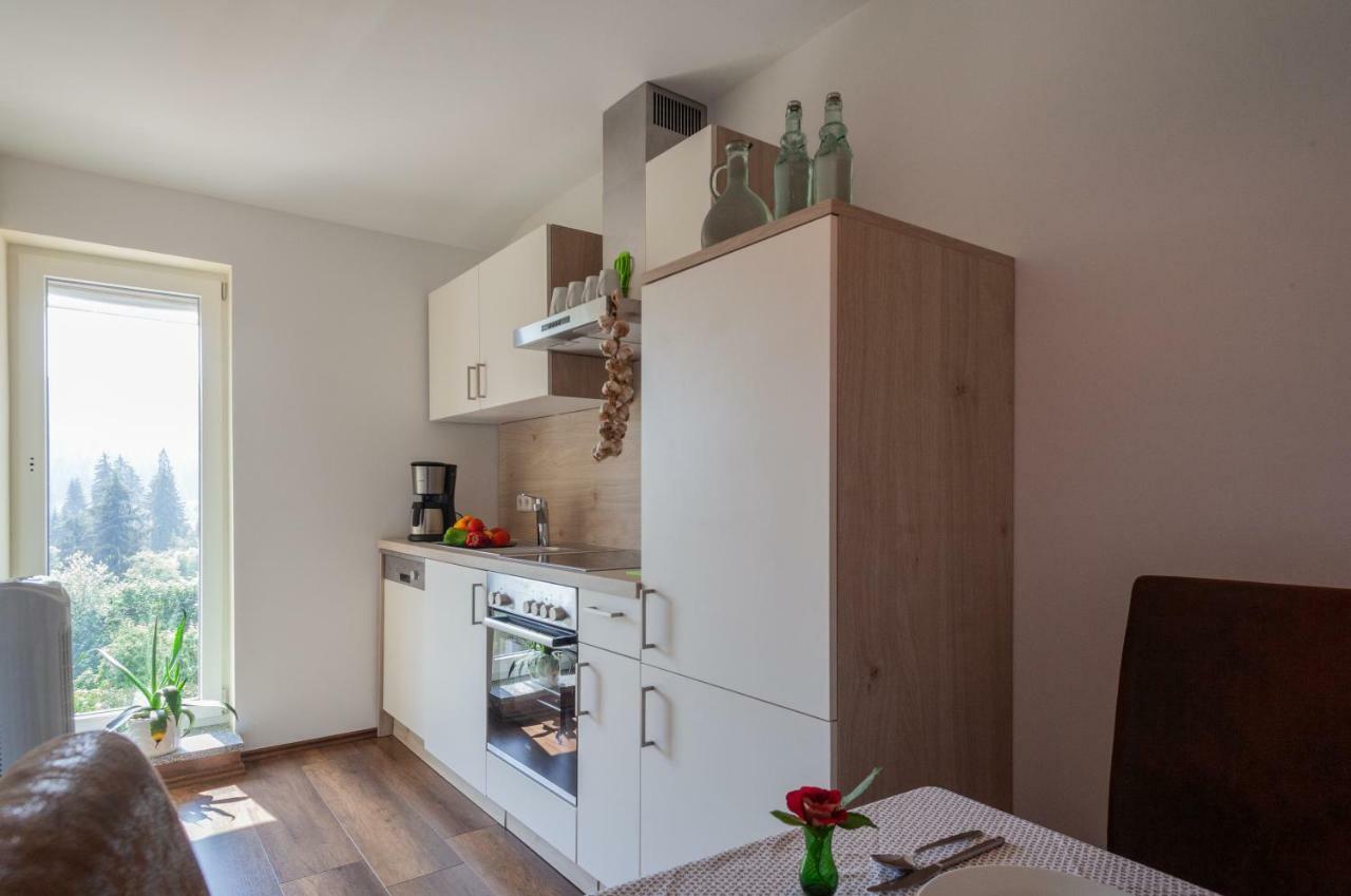 Ferienwohnungen Ludwigsthal Apartment